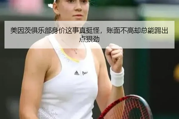 美因茨俱乐部身价这事真挺怪，账面不高却总能踢出点狠劲